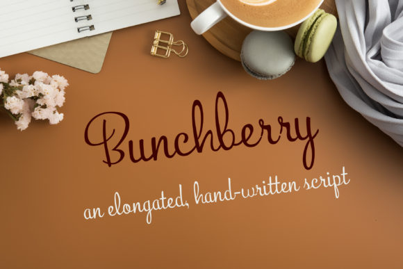 Bunchberry: The Font That Elevates Your Brand’s Visual Story