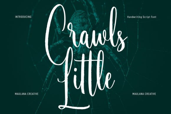 Little Crawls: A Script Handwritten Font for Editorial Elegance