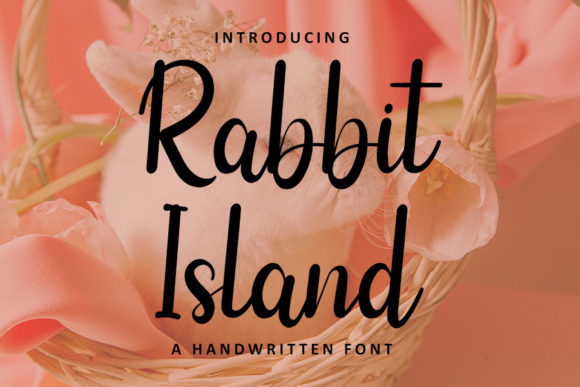 Rabbit Island: A Script Handwritten Font for Standout Branding and Design