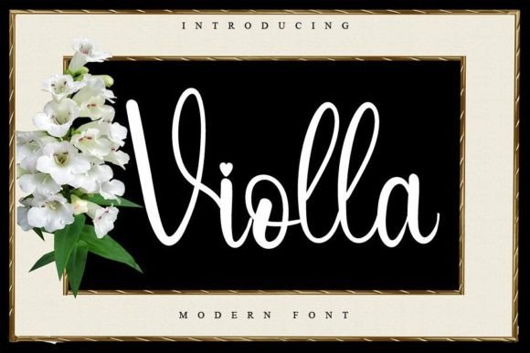 Violla: A Script Handwritten Font for Dynamic Branding and Digital Design